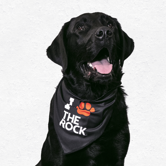 Rock Dog Bandana